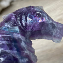 Chargez l'image dans la visionneuse de la galerie, Fluorite Sea Horse #2 * UV Reactive