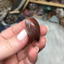 Chargez l'image dans la visionneuse de la galerie, Petrified Wood Heart Set #02 & #03