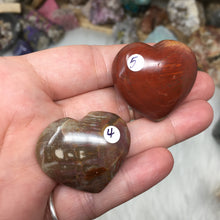 Chargez l'image dans la visionneuse de la galerie, Petrified Wood Heart Set #04 & 05