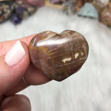 Chargez l'image dans la visionneuse de la galerie, Petrified Wood Heart Set #04 & 05