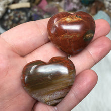Chargez l'image dans la visionneuse de la galerie, Petrified Wood Heart Set #14, 15