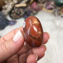 Chargez l'image dans la visionneuse de la galerie, Petrified Wood Heart Set #14, 15