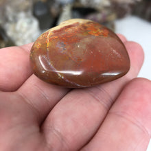 Chargez l'image dans la visionneuse de la galerie, Petrified Wood Heart #27