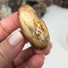 Chargez l'image dans la visionneuse de la galerie, Petrified Wood Heart #27