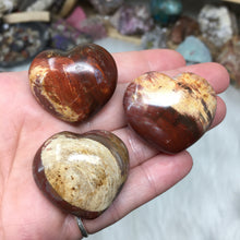 Chargez l'image dans la visionneuse de la galerie, Petrified Wood Heart Set #18, 19, 20