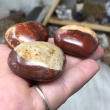 Chargez l'image dans la visionneuse de la galerie, Petrified Wood Heart Set #18, 19, 20