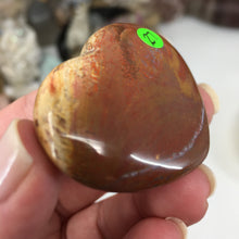 Chargez l'image dans la visionneuse de la galerie, Petrified Wood Heart #27