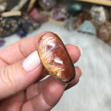 Chargez l'image dans la visionneuse de la galerie, Petrified Wood Heart Set #18, 19, 20