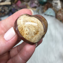 Chargez l'image dans la visionneuse de la galerie, Petrified Wood Heart Set #18, 19, 20