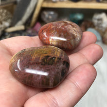 Chargez l'image dans la visionneuse de la galerie, Petrified Wood Heart Set #24, 25