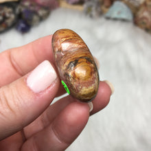 Chargez l'image dans la visionneuse de la galerie, Petrified Wood Heart Set #24, 25