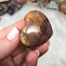 Chargez l'image dans la visionneuse de la galerie, Petrified Wood Heart Set #24, 25
