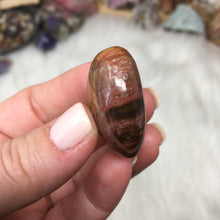 Chargez l'image dans la visionneuse de la galerie, Petrified Wood Heart Set #24, 25