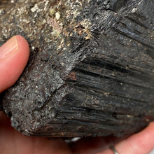 Bild in Galerie-Viewer laden, Black Tourmaline with Muscovite Rough #01