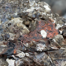 Bild in Galerie-Viewer laden, Black Tourmaline with Muscovite Rough #01