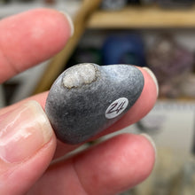 将图像加载到图库查看器中,Picasso 1" Heart #24