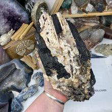 Bild in Galerie-Viewer laden, Black Tourmaline with Muscovite Rough #02