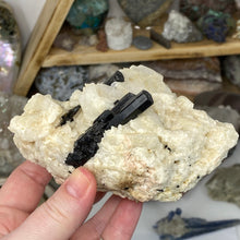 Chargez l'image dans la visionneuse de la galerie, Black Tourmaline with Feldspar and Muscovite Rough #04