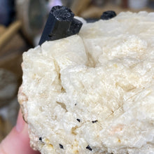 Chargez l'image dans la visionneuse de la galerie, Black Tourmaline with Feldspar and Muscovite Rough #04