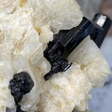 Chargez l'image dans la visionneuse de la galerie, Black Tourmaline with Feldspar and Muscovite Rough #04