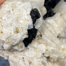 Chargez l'image dans la visionneuse de la galerie, Black Tourmaline with Feldspar and Muscovite Rough #04