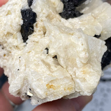 Chargez l'image dans la visionneuse de la galerie, Black Tourmaline with Feldspar and Muscovite Rough #04