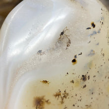Bild in Galerie-Viewer laden, Dendritic Agate Freeform #01