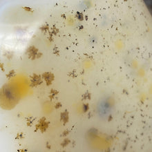 Bild in Galerie-Viewer laden, Dendritic Agate Freeform #01