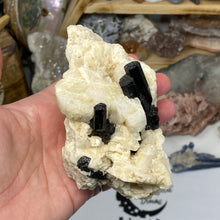 Chargez l'image dans la visionneuse de la galerie, Black Tourmaline with Feldspar and Muscovite Rough #04