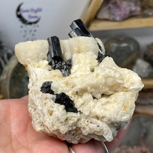 Chargez l'image dans la visionneuse de la galerie, Black Tourmaline with Feldspar and Muscovite Rough #04