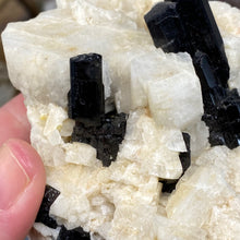 Chargez l'image dans la visionneuse de la galerie, Black Tourmaline with Feldspar and Muscovite Rough #04