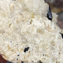 Chargez l'image dans la visionneuse de la galerie, Black Tourmaline with Feldspar and Muscovite Rough #04