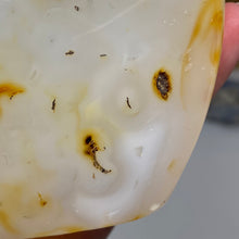 Bild in Galerie-Viewer laden, Dendritic Agate Freeform #02