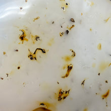 Bild in Galerie-Viewer laden, Dendritic Agate Freeform #02