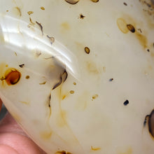 Bild in Galerie-Viewer laden, Dendritic Agate Freeform #02