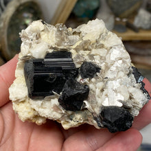 Chargez l'image dans la visionneuse de la galerie, Black Tourmaline with Feldspar, Muscovite and Garnet Rough #05