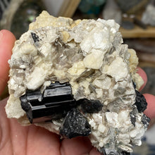 Chargez l'image dans la visionneuse de la galerie, Black Tourmaline with Feldspar, Muscovite and Garnet Rough #05