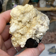 Chargez l'image dans la visionneuse de la galerie, Black Tourmaline with Feldspar, Muscovite and Garnet Rough #05