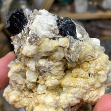 Chargez l'image dans la visionneuse de la galerie, Black Tourmaline with Feldspar, Muscovite and Garnet Rough #05