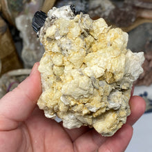 Chargez l'image dans la visionneuse de la galerie, Black Tourmaline with Feldspar, Muscovite and Garnet Rough #05