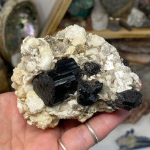 Chargez l'image dans la visionneuse de la galerie, Black Tourmaline with Feldspar, Muscovite and Garnet Rough #05