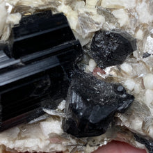Chargez l'image dans la visionneuse de la galerie, Black Tourmaline with Feldspar, Muscovite and Garnet Rough #05