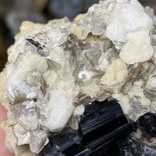 Chargez l'image dans la visionneuse de la galerie, Black Tourmaline with Feldspar, Muscovite and Garnet Rough #05