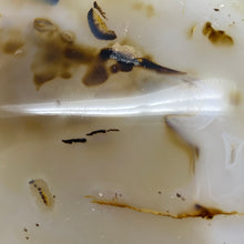 Bild in Galerie-Viewer laden, Dendritic Agate Freeform #04