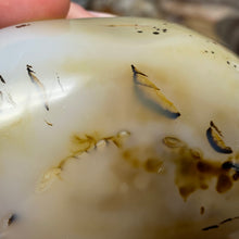 Bild in Galerie-Viewer laden, Dendritic Agate Freeform #04