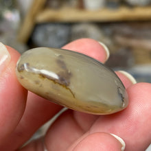 Chargez l'image dans la visionneuse de la galerie, Dendritic Agate Heart #16