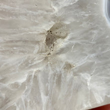 Load image into Gallery viewer, Druzy Agate Tree #01
