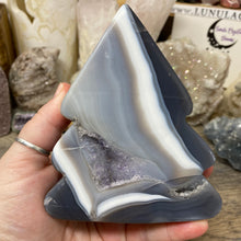 Load image into Gallery viewer, Druzy Agate with Amethyst Tree #02