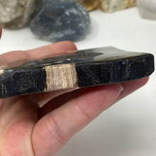 Bild in Galerie-Viewer laden, Petrified Wood Stand #19