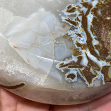 将图像加载到图库查看器中,Druzy Agate Large Moon #04 *Rainbows